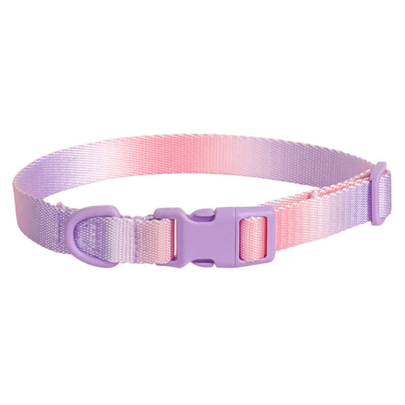 Furevercare Adjustable Nylon Dog & Cat Collar in gradient purple and pink design.