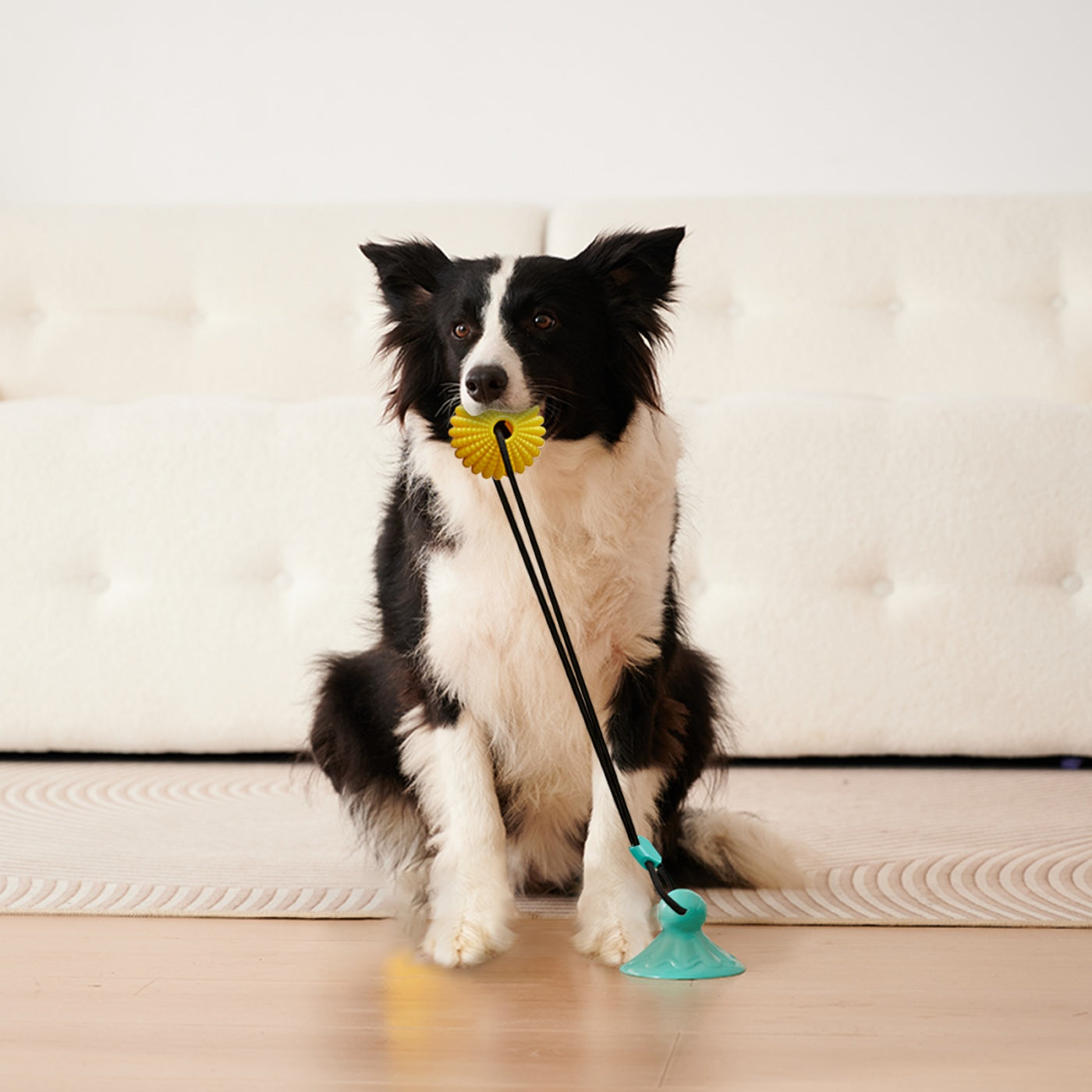 TugNClean Suction Cup Corn Chew Toy
