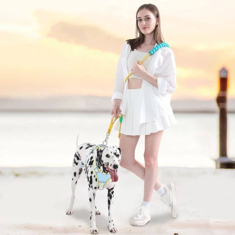 Furevercare anti-slip foam handle dog traction leash