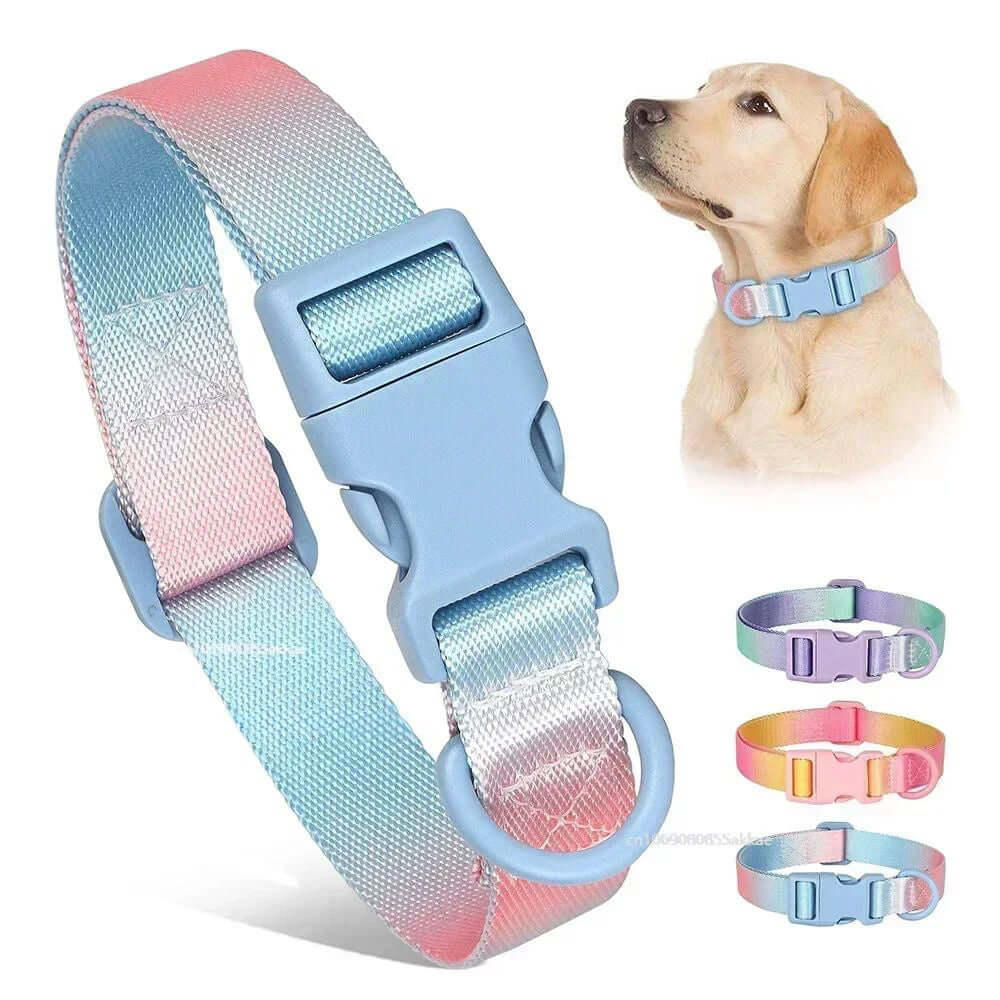 Furevercare Adjustable Nylon Dog & Cat Collar in gradient colors with a dog wearing a collar.