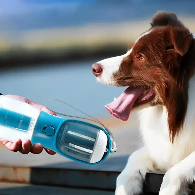 Three-in-One Dog water bottle