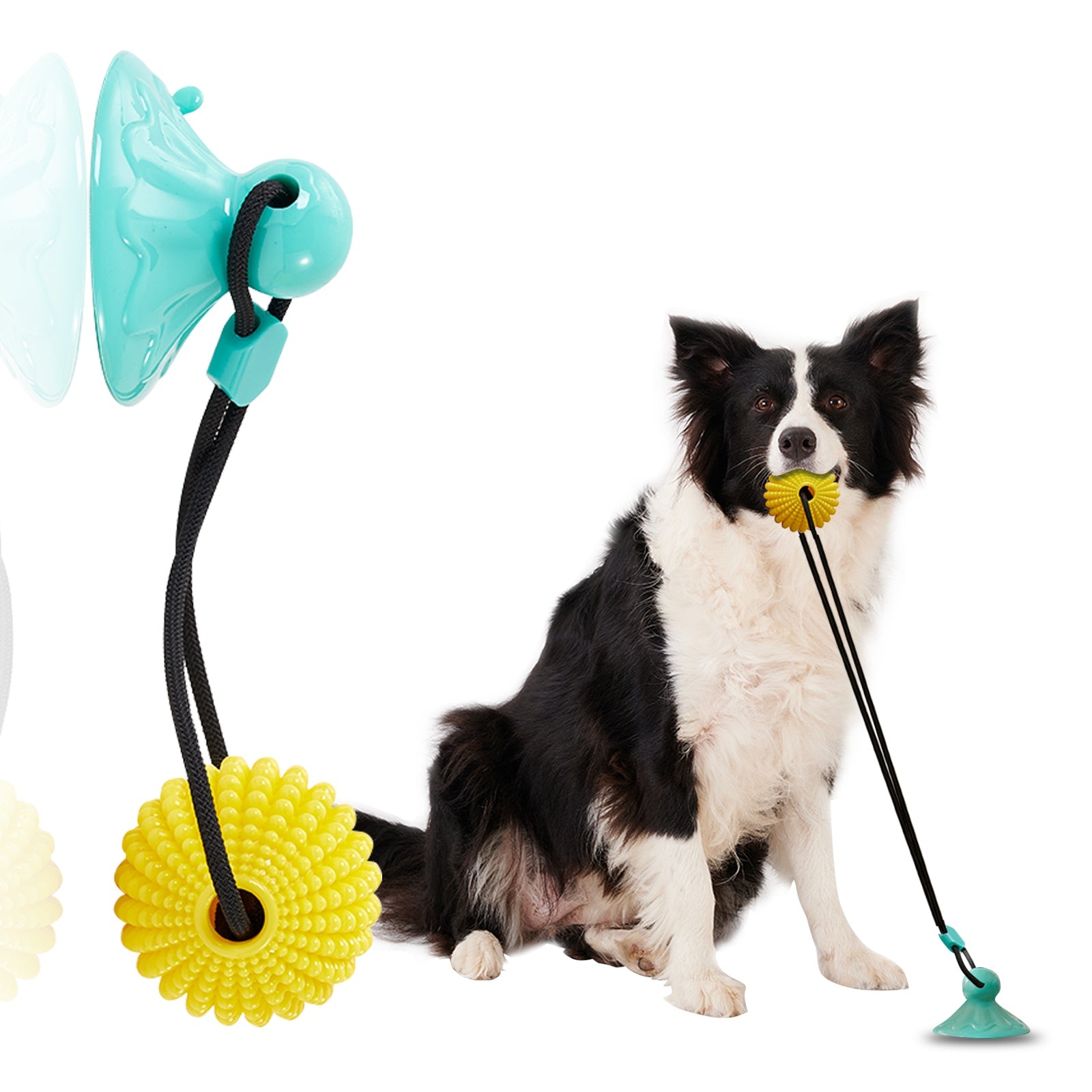 TugNClean Suction Cup Corn Chew Toy