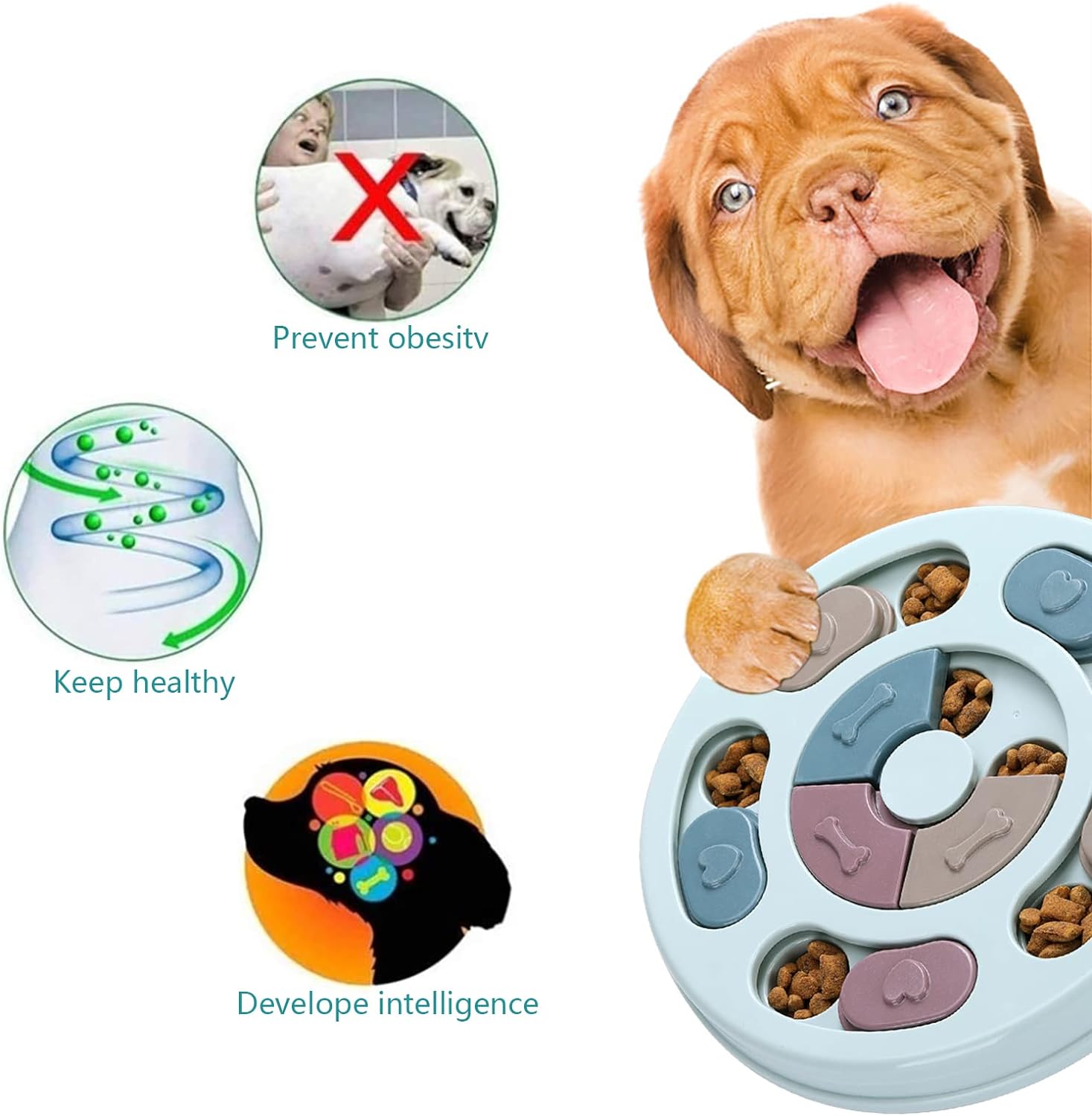 PawPuzzle Mental Enrichment Feeder