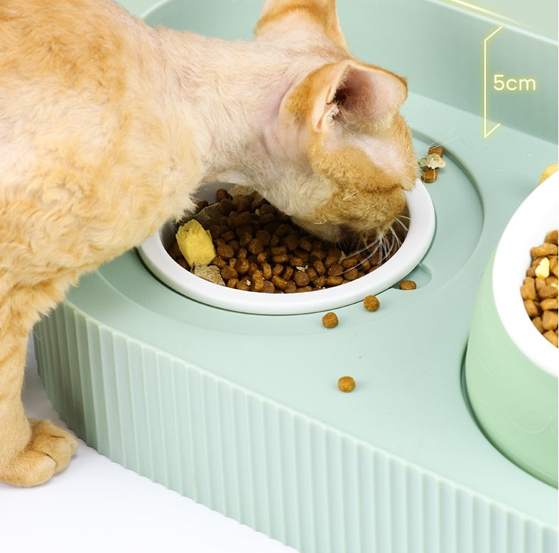 PawPosture Ceramic Feeding BowlPawPosture