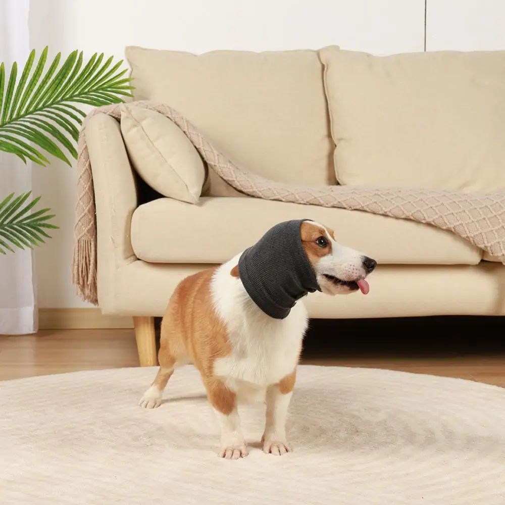 CalmEar Adjustable Noise-Cancelling Dog Earmuff