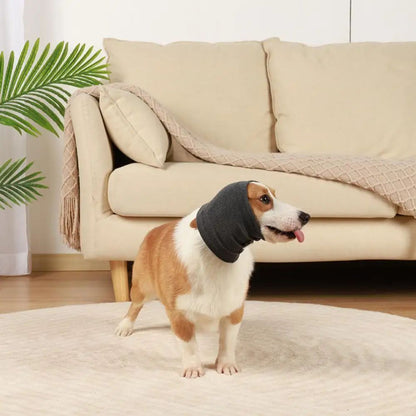 CalmEar Adjustable Noise-Cancelling Dog Earmuff